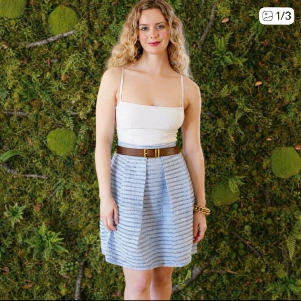 Blue Striped A-Line Skirt